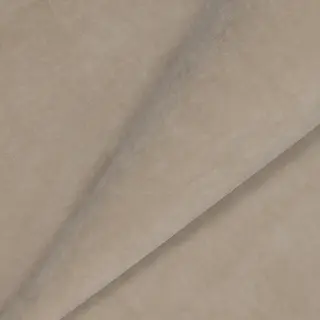 Велюр Teddy 305